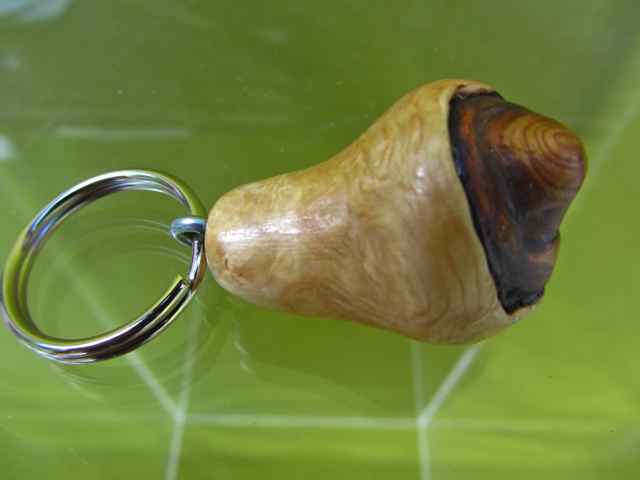 Schlüsselanhänger SA24