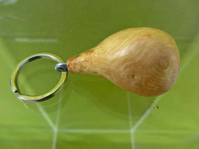 Schlüsselanhänger SA29