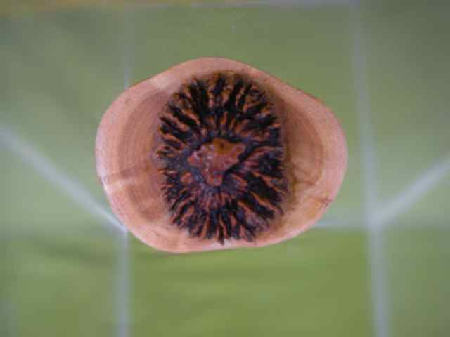 Brosche BR1
