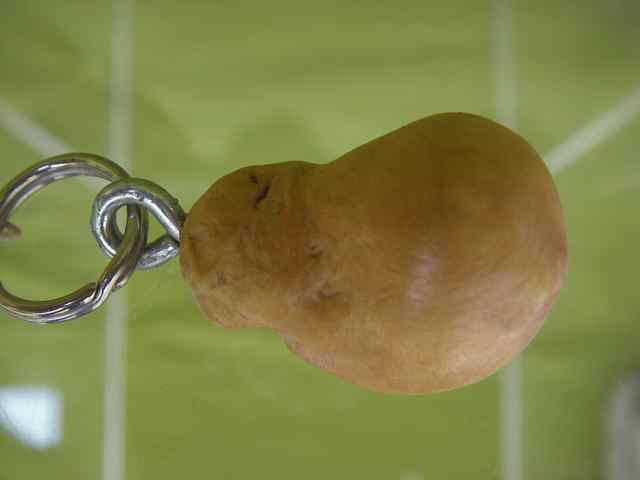 Schlüsselanhänger SA11