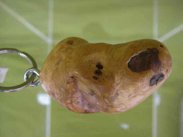 Schlüsselanhänger SA12