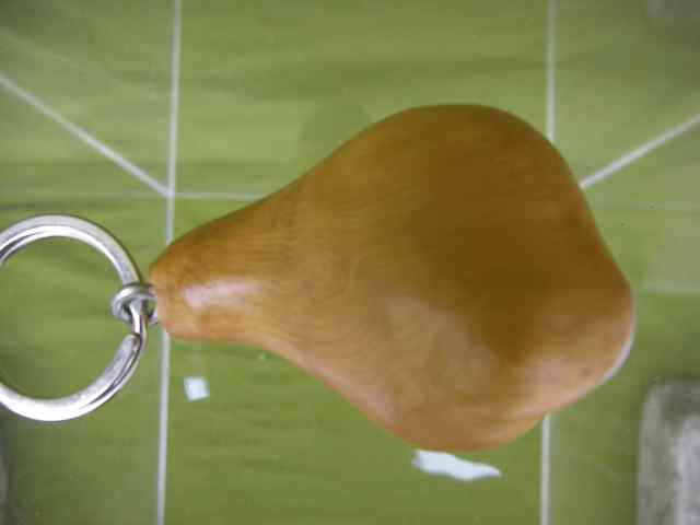 Schlüsselanhänger SA13